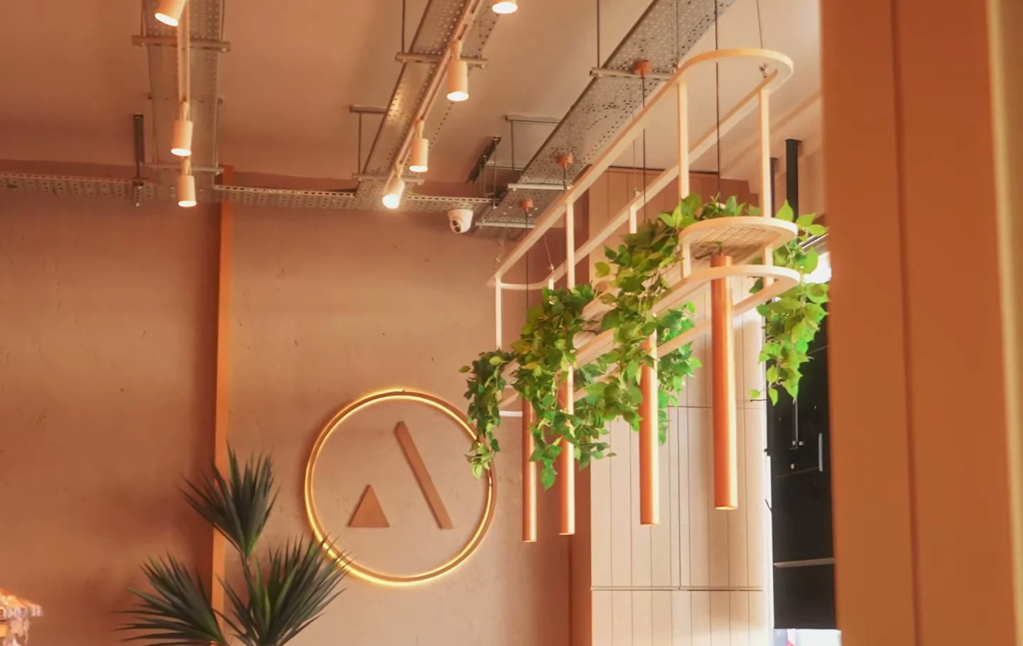 Inside Alici's, Wood Green